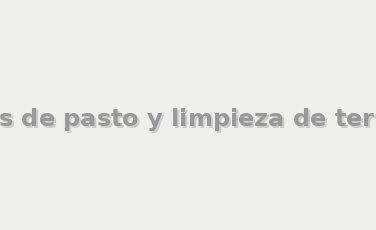 Cortes de pasto y limpieza de terrenos - Jardinería en City Bell | La Plata
