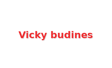 Logo de Vicky budines